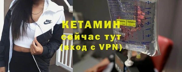 прущие грибы Саяногорск