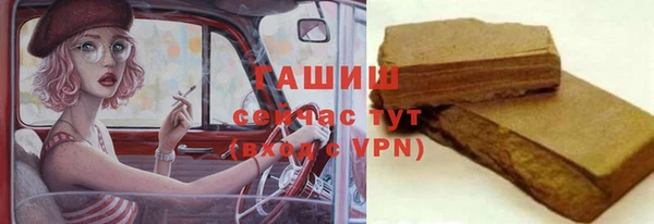 прущие грибы Саяногорск