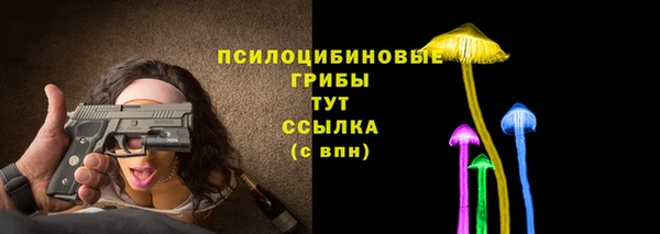 прущие грибы Саяногорск