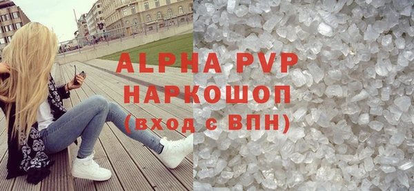 прущие грибы Саяногорск
