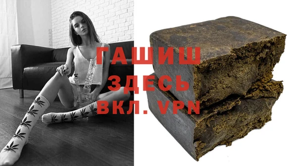 прущие грибы Саяногорск
