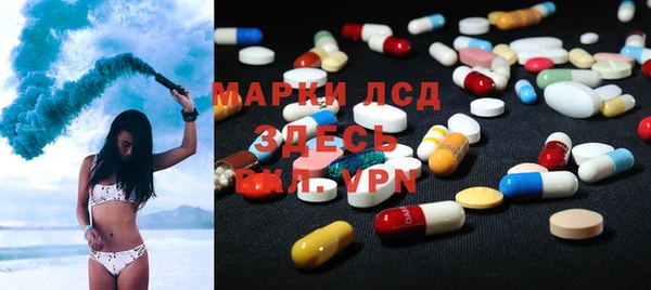 прущие грибы Саяногорск