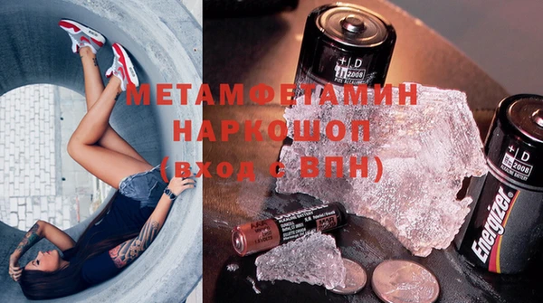 прущие грибы Саяногорск