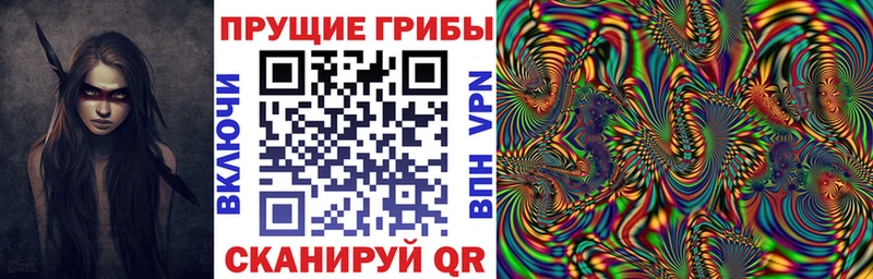 Галлюциногенные грибы ЛСД  kraken ТОР  Истра 